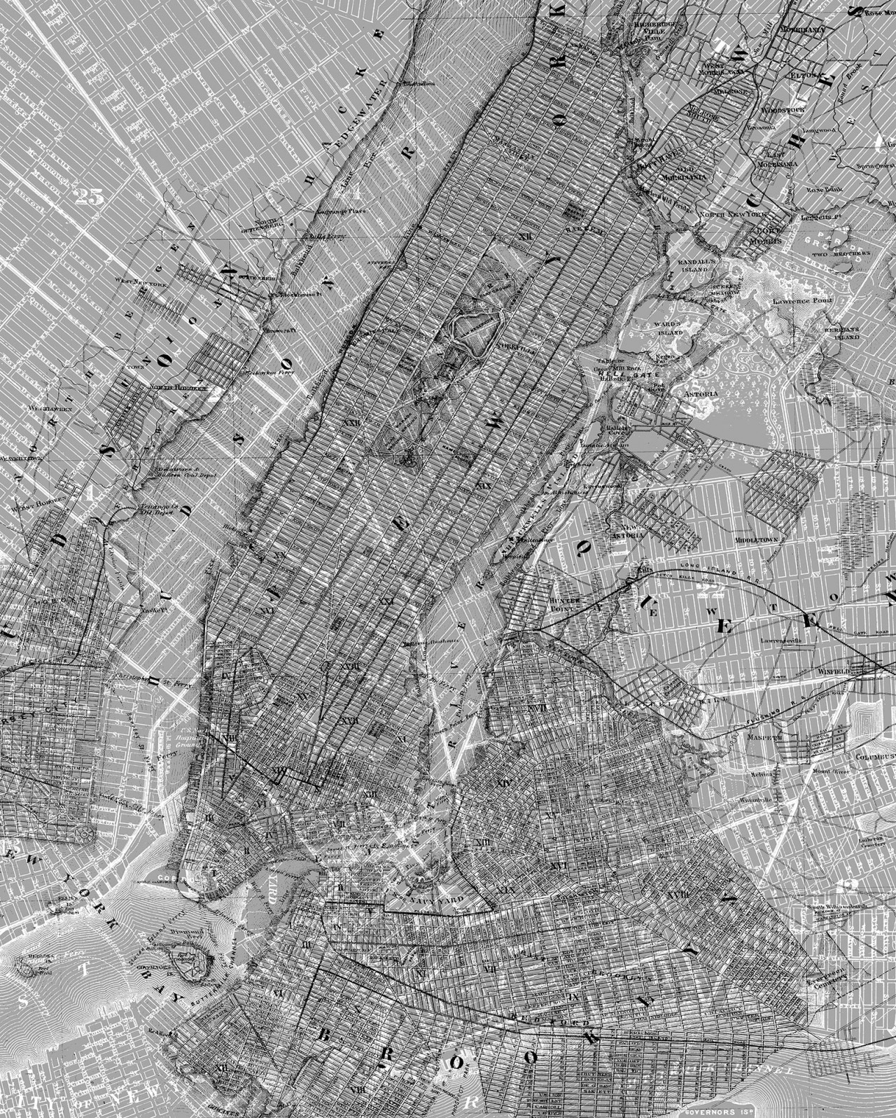 PANORAMIQUE NYC MAP 2 x 2.5 m