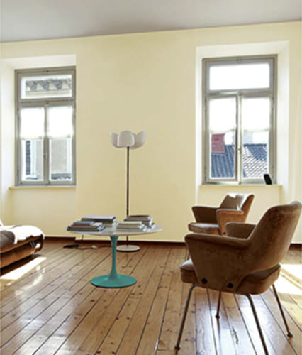 Domaterra, les peintures d'intérieur décoratives