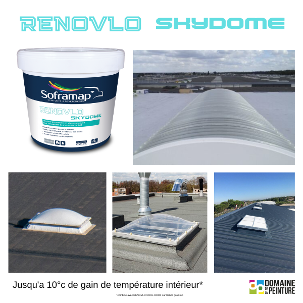 RENOVLO SKYDOM 4L