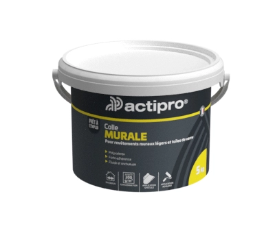 ACTIPRO COLLE MUR 5KG