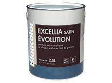 EXCELLIA SATIN EVO 1L BLANC - BLANCOLOR