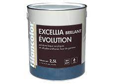 EXCELLIA BRILLANT  EVO 1L BLANC - BLANCOLOR